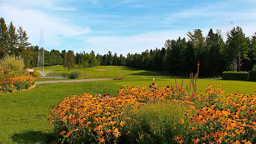terrain de gold Thetford Mines avec fleurs