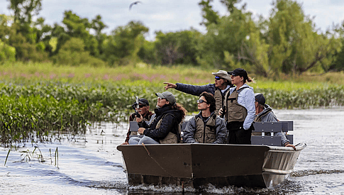 Mauricie - Activité unique : Safari dans les bayous du Lac St-Pierre – Une balade chargée d’émotion d’une durée de 2h dans l’archipel du Lac St-Pierre